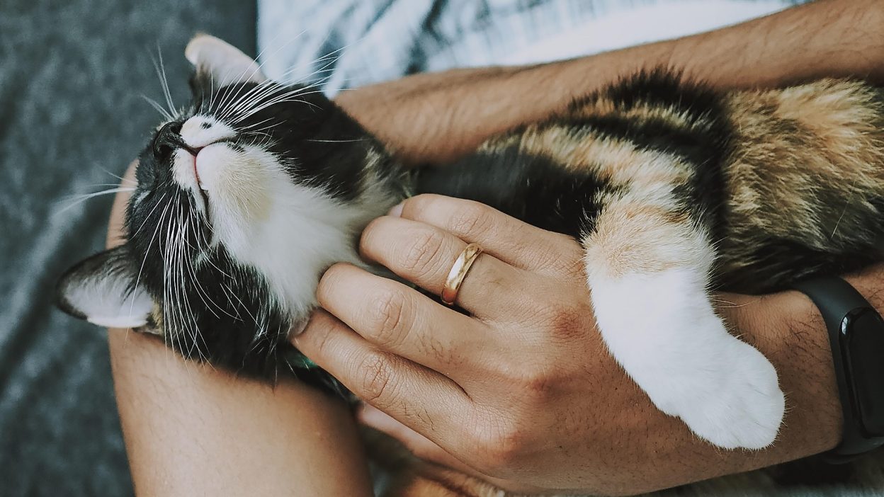 10 Warning Signs Your Pet May Be Crying Out For Help