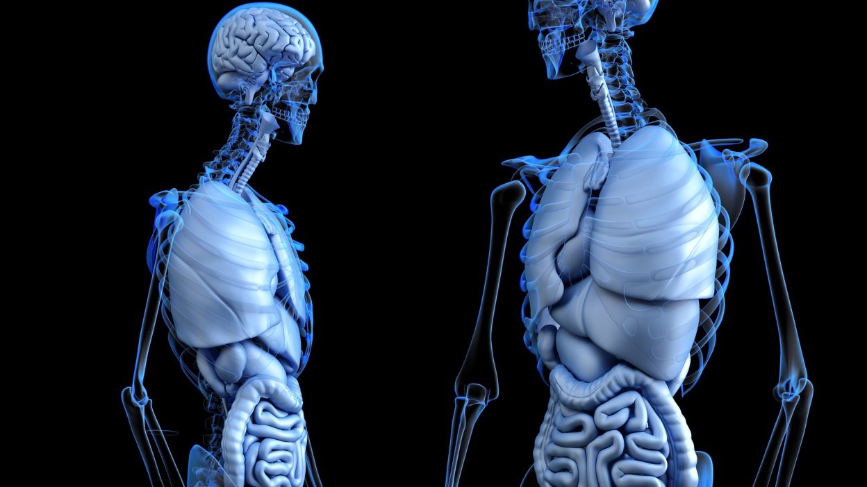 Incredible Facts About The Human Body You Probably Didnt Know