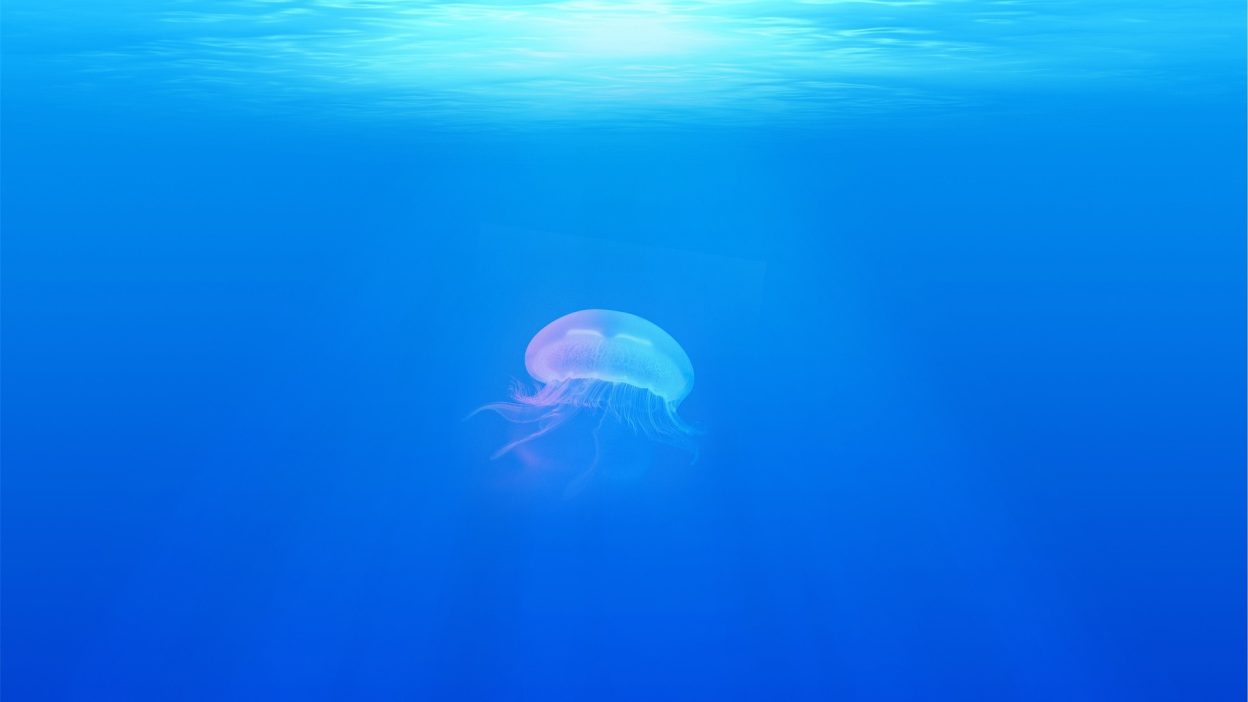 Unbelievable Animals That Actually Exist